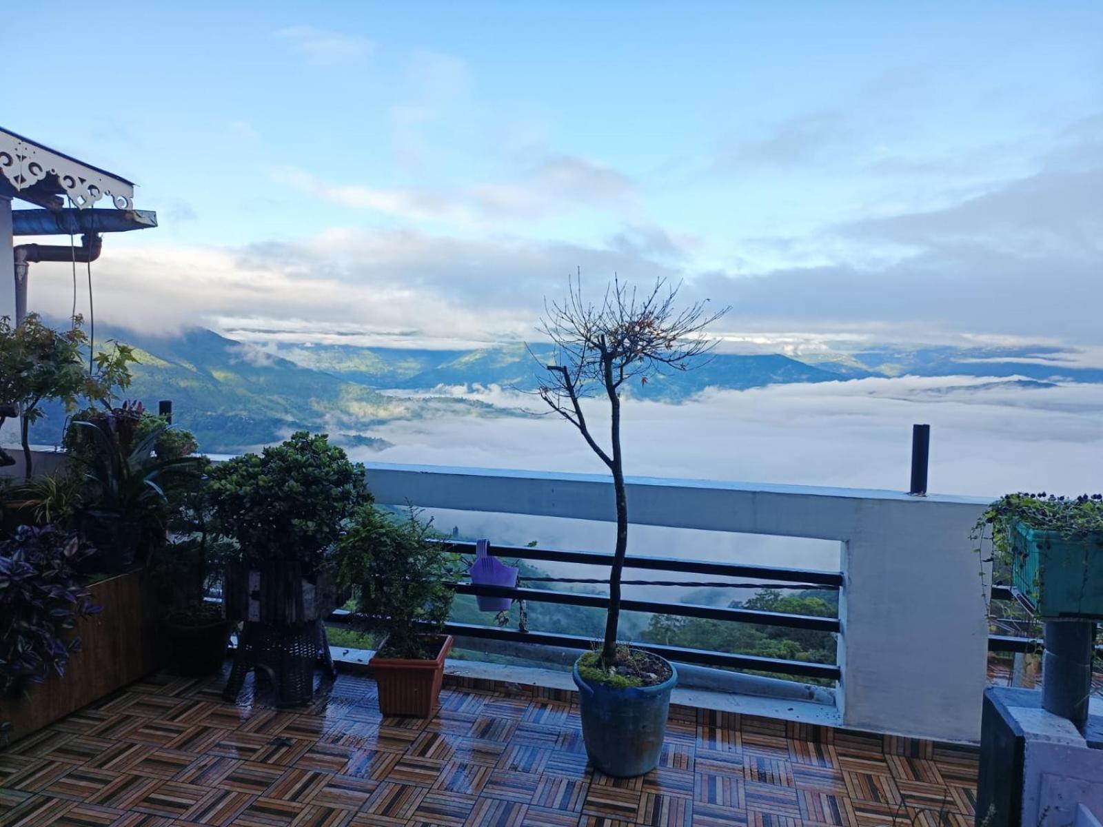 The Sunset Nest Offbeat Homestay 다르질링 외부 사진