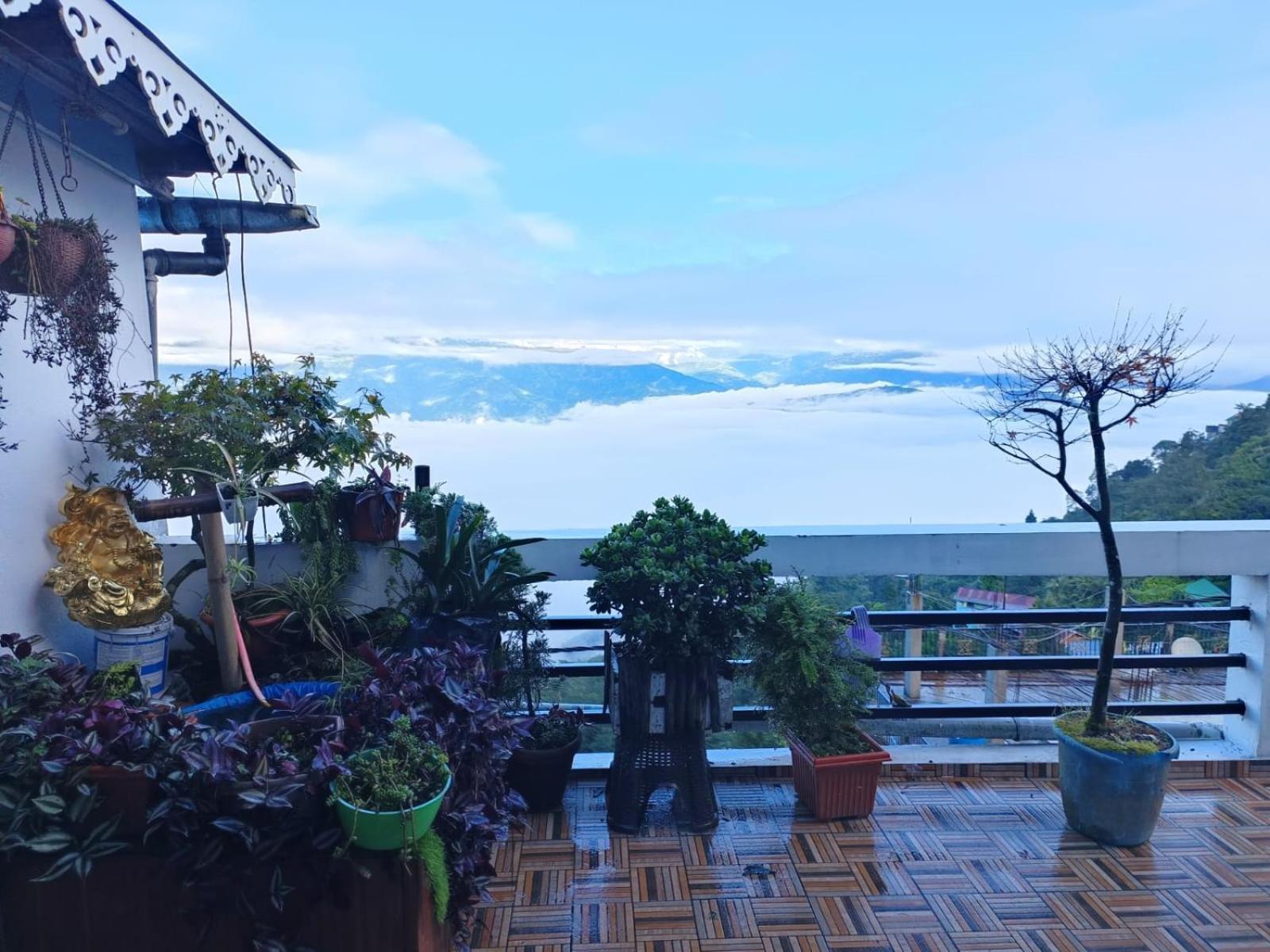 The Sunset Nest Offbeat Homestay 다르질링 외부 사진