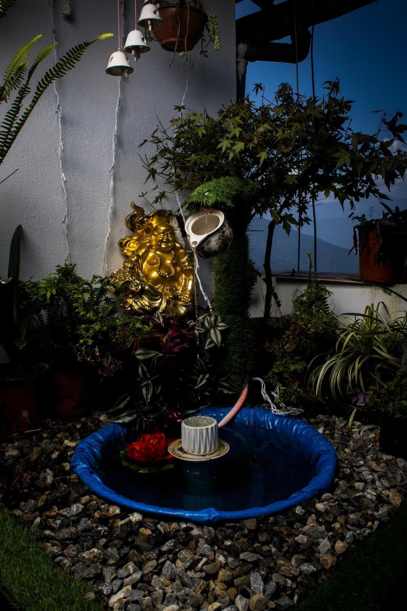 The Sunset Nest Offbeat Homestay 다르질링 외부 사진