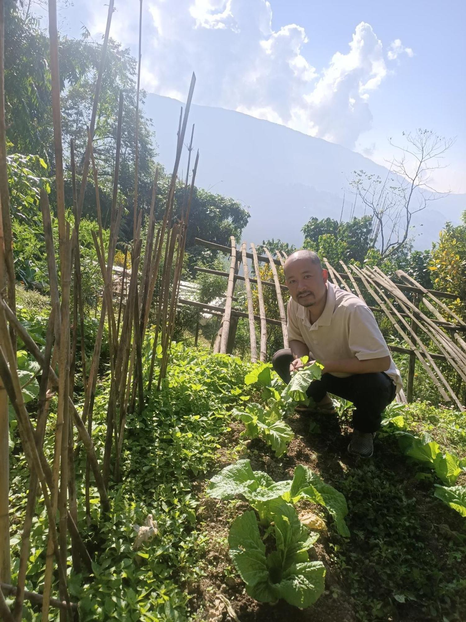 The Sunset Nest Offbeat Homestay 다르질링 외부 사진