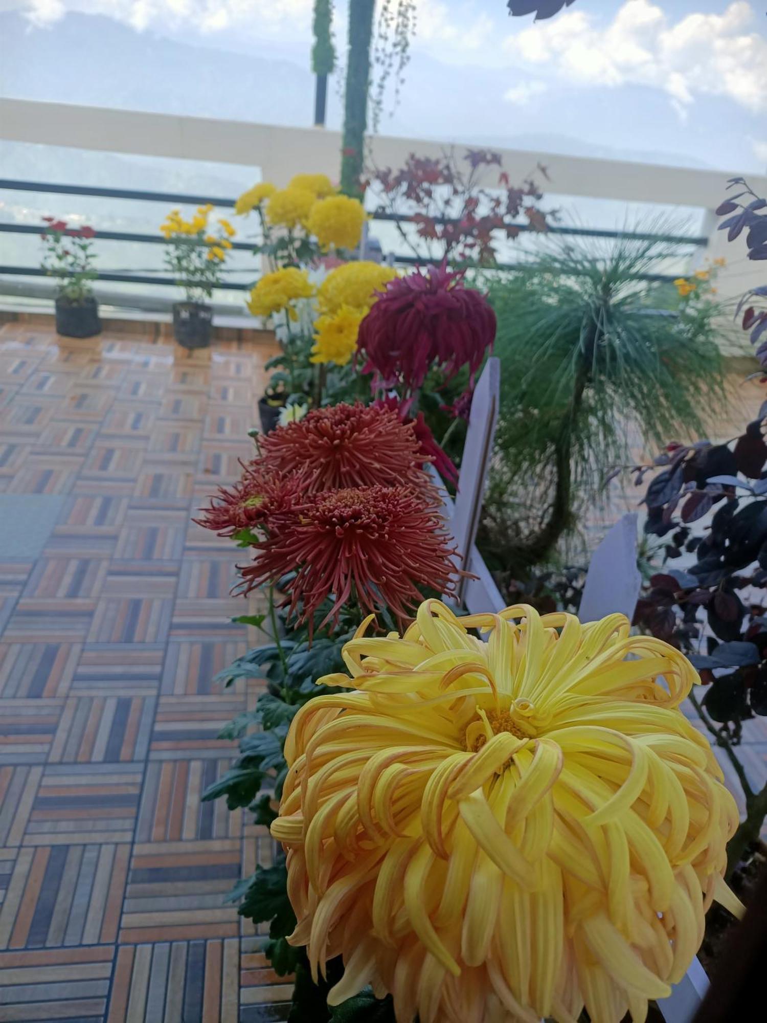 The Sunset Nest Offbeat Homestay 다르질링 외부 사진
